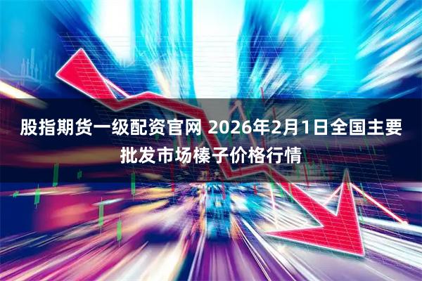股指期货一级配资官网 2026年2月1日全国主要批发市场榛子价格行情